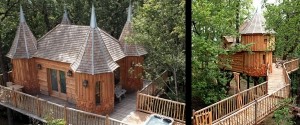 Top 10 treetop hotels | horecatrends.com