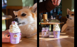 Bagels & Beans becomes Beagles & Beans during Animal Week from October 4 to 11