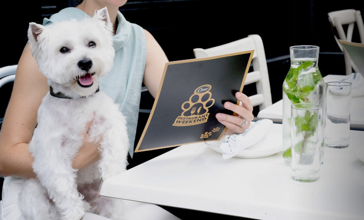 Bring your dog to dinner during the CESAR Restaurant Weekend