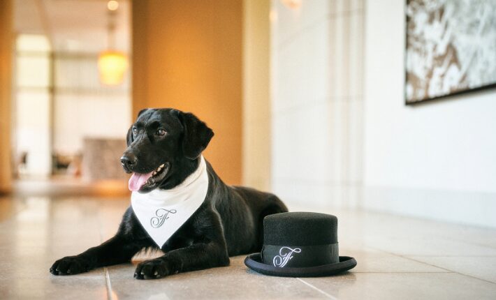 Chief Happiness Officer Serene at Fairmont Tokyo