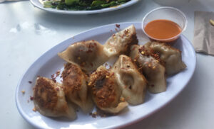 Cheeseburger Dumplings