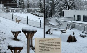 Dog play area at the Alpin Resort Sacher in Seefeld