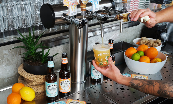 Lowlander alcohol-free craft beer on tap
