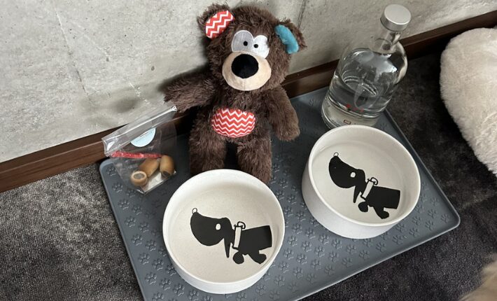 Maison Heler in Metz - welcomes guests with dogs