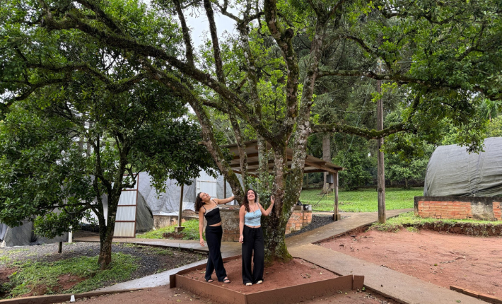 Mati brings traditional Brazilian yerba mate to the Netherlands