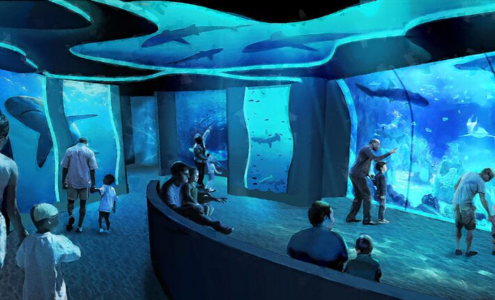 Rendering of SeaWorld San Diego's all-new Shark Encounter