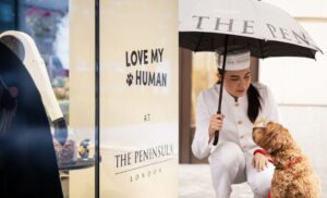 The Peninsula London elevated hospitality with a limited time luxury dog grooming